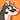 Pinnipip