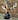 Deerboy1111