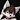 WhiteWolfR